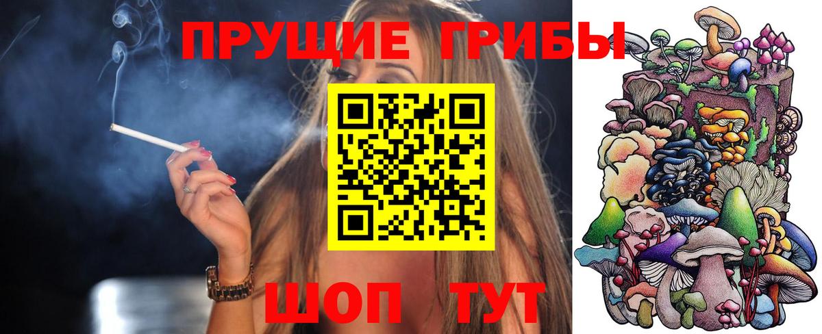 Галлюциногенные грибы мицелий Чернушка